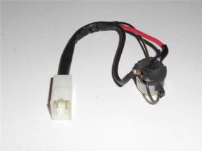 202170_528b391c721b5